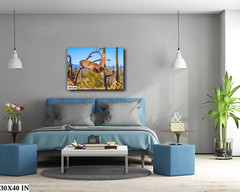 Superb Owl: Birds of Prey Wildlife Sonoran Desert Owl Bird Metal Canvas Print