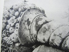 Signed Ildiko Butler photograph lichen covered sculpture/architecture study