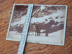 Antique Photo 1901 Horse Sleigh Ride in Winter Saxon Switzerland 13×18 cm