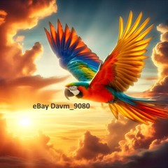 Digital Image Picture Photo Wallpaper Background Desktop Art Colorful Parrot Fly