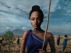 Photo wood framed Steve McCurry Lavazza coffee Calendar 2015 Earth defenders 36″