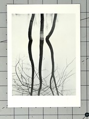 Koichiro Kurita (b. 1943) Art Announcement Card 1991 – Recent Landscapes