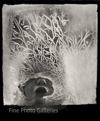 1957 Original JAN LUKAS Child at Winter Frost Window Large Silver Gelatin Photo