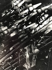 Vintage 1975 Photograph Vietnam Era Art Tattered Flags Signed Joseph Duze USA