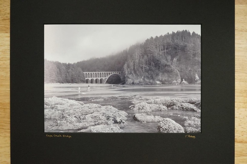 Tom Adams Nature Photography Cape Creek Bridge Oregon B&W Photo Art 11X14