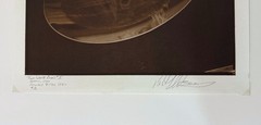 AMERICAN ARTIST ROBERT J. STEINBERG SIGNED DATED PHOTOGRAPH – «TWO WHITE ROSES»