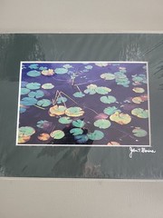 Photography Print By John T Slonina Matted 8×10 Lily Pads On A Pond