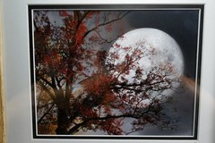 Rustic Reclaimed Barn Wood Framed Moon Tree Wall Art Signed Nature Photo 14”x11”