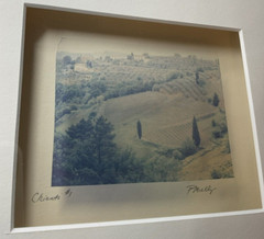 Emulsion Transfer Film Polaroid Art Photo Chianti #1 Patty Mulligan Framed 2006
