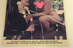VINTAGE!! BARBARA DARE Promotional 8×10 PHOTO Adult X Film Star (Early 1980’s)