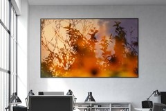 Large Abstract Botanical Fine Art Photography Print 24x16in 