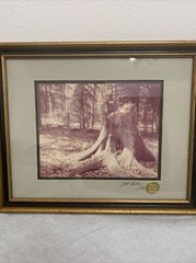 Vintage Art Gore Photographs Original Print Colorado Artist Signed Framed 2