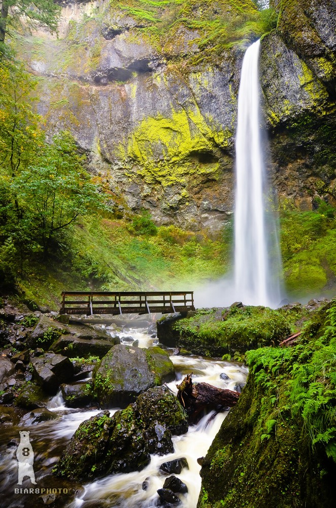 Elowah Falls, Oregon Waterfalls, Columbia River Gorge, Pacific Northwest Prints