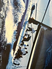 Hawaiian Marine poster Transpac 2003 large Yacht Race sailing size 27×39″