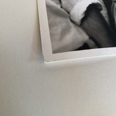 George Harrison Photograph by Grant Jacobs 1967 ORIGINAL Stamped 11 X 14” Matte