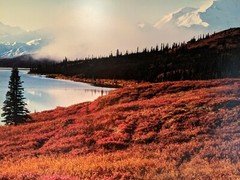 Thomas Mangelsen «Shores of Wonder Lake 27″ X 50» framed print signed & numbered