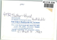 40018308 – 4192 Wissel Gasth. Winkler Interior Mount