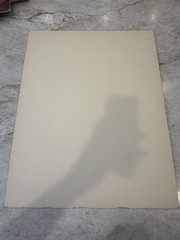 1950s “Autumn Sunlight” By AR Jr Evanston Illinois IL Art Foliage PHOTO 16×20”
