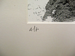 MATTED PHOTOGRAPHY Soulful Stone A/P B&W with COA 16×20 By Larry Santucci