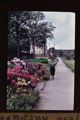 Dia Oybin Saxony Kurpark