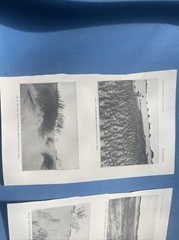 1898 Cape Cod Photograph Antique Print Set Of 2, 5.5” X 9” Each