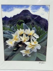 Kilahuea Hawaii Photography Art Photos 2 Scott Hanft Flowers Ocean 11 X 14 2000s