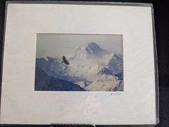 Set of 4 Wildlife/Nature Photographs by Jim Stamates, 4″x6″, Matted to 8″x10″