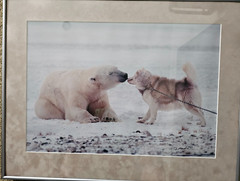 Thomas D. Mangelsen’s Polar Kiss, framed and signed 832 of 2000