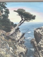 Vintage J.M. Garrison Hand Tint Oil Color Photo Point Lobos CA 10.5”x15.5” VGC