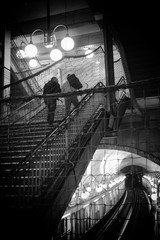 Fine Art Photography – 4×6, 8×12, or 13×19 – Paris, France Street