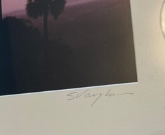 Panoramic Framed ECON Top Econlockhatchee River Florida Steve Vaughn 52:11’
