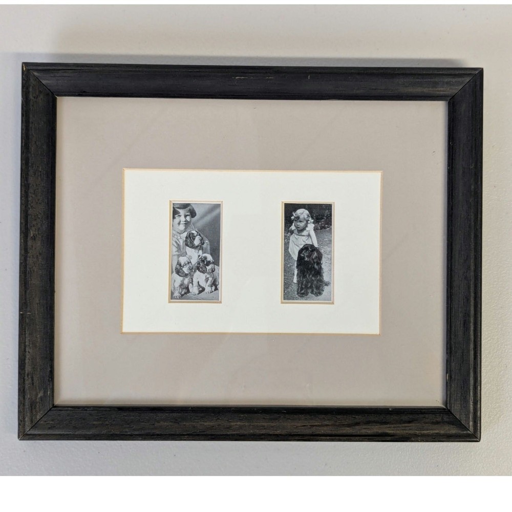 Vtg Cocker Spaniel Photos Framed Dogs and Friend Black White Lady Kitty Ritson
