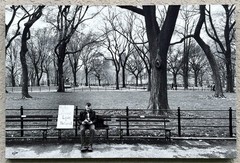 Albert Mollinea «Love is Natural» Fine Art Photo 2/10 — Central Park 2016