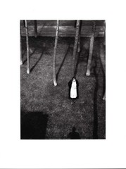 Moholy-Nagy, Untitled. [1994]. [6 Signed Original Photographs].