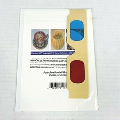 Pale Stonewall Butterfly 3-D 3D Photograph Art Phantom Image Barry Rothstein New