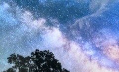 Milky Way Galaxy, 21×16”