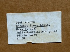 Dick Arentz, Coconut Tree, Kauia, Hawaii, 1987, Palladium / Platinum Print