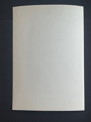 Rare Vintage Original Photo Siegel Stockman Mannequin Female Fetish Curiosa