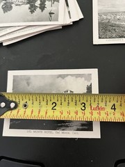 Vintage Black and White 2 1/2” x 3 1/2” – Lot of 15