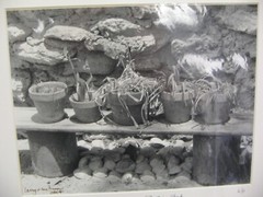 MATTED PHOTOGRAPHY Dudley Farm Potting Shed A/P 16×20 By Larry Santucci