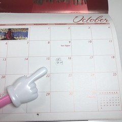 Lifebridge BRAVO 2008 Calender Art Bra Breast Cancer Awareness Avant Garde