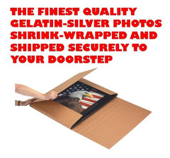 Roberta Pedon busty print ART NUDES picture female woman big breasts photo Tf259