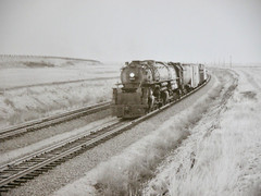 Union Pacific Steam Engine 3800 Locomotive 8×10 Photograph Vtg 50s Railway Field