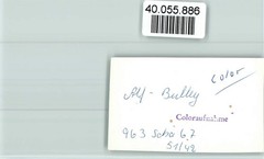 40055886 – 5584 Bullay Local View