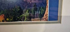 Framed and Matted High Quality Photograph of Sierra Nevada Mountains
