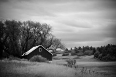 Fine Art Photography, Black & White print, 8×12, Barn with a View