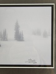 Signed David Whitten Limited Edition 35mm Photograph Print 17.5×14.75 Framed Art