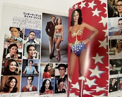 Wonder Woman Complete Visual Guidebook DC comic Lynda Carter Town Mook 1981 Rare