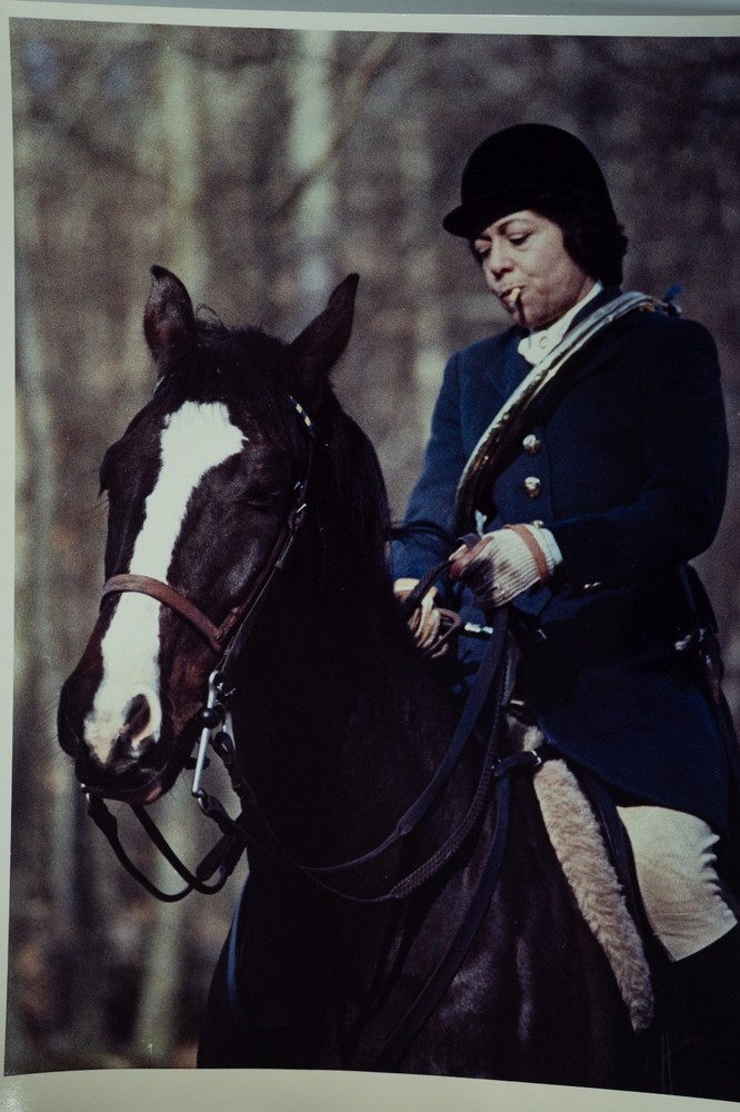 Analog Photo France Hunting Hound Horse 24X30CM 1970