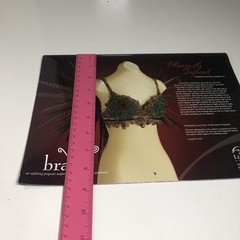 Lifebridge BRAVO 2008 Calender Art Bra Breast Cancer Awareness Avant Garde